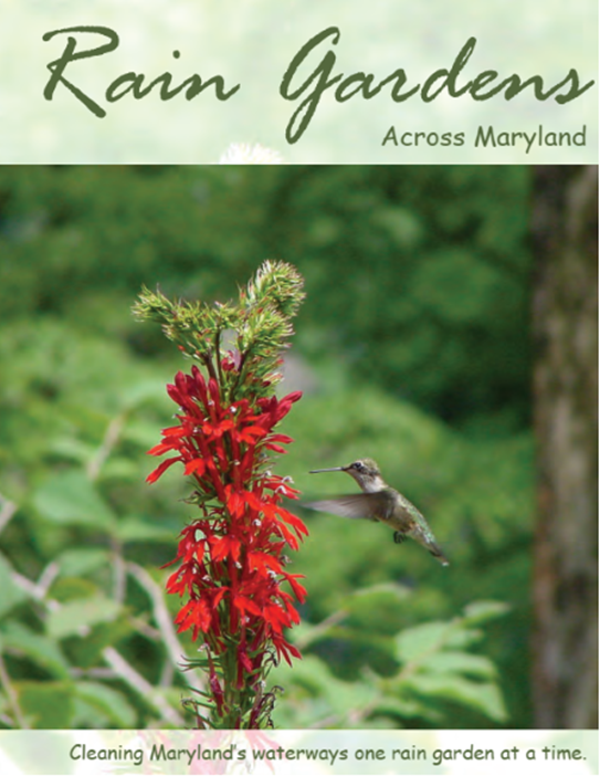 86_Rain Gardens Cover